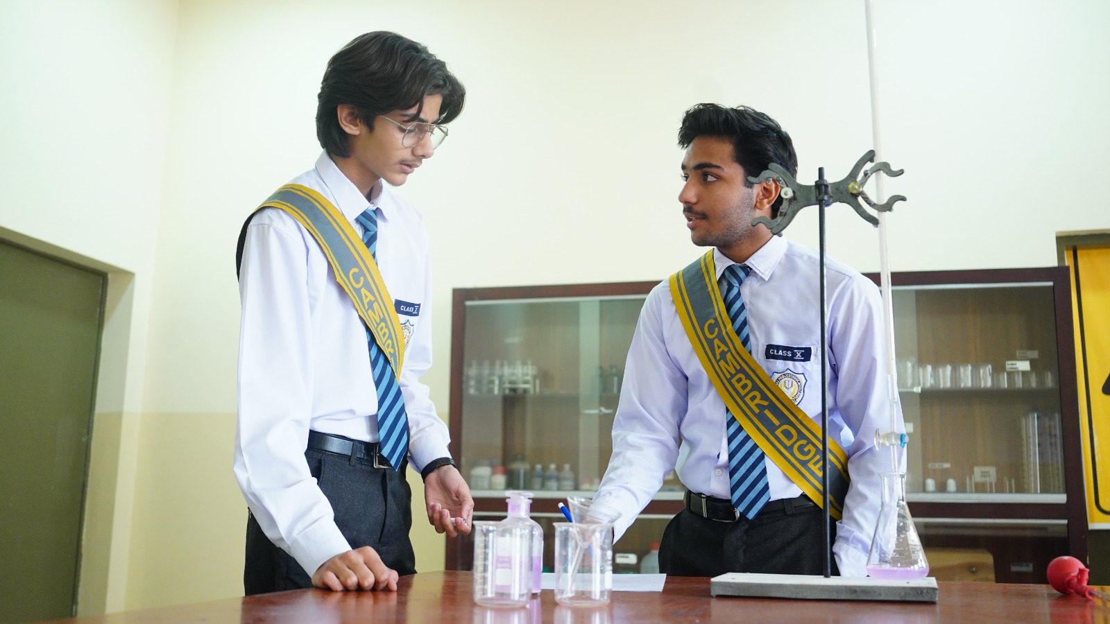 Career Guidance
